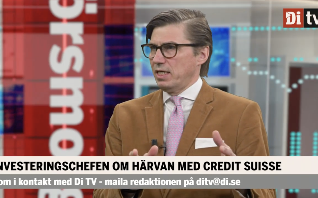 Citroneers Erik Nordenskjöld pratade om onödiga risker i DiTV